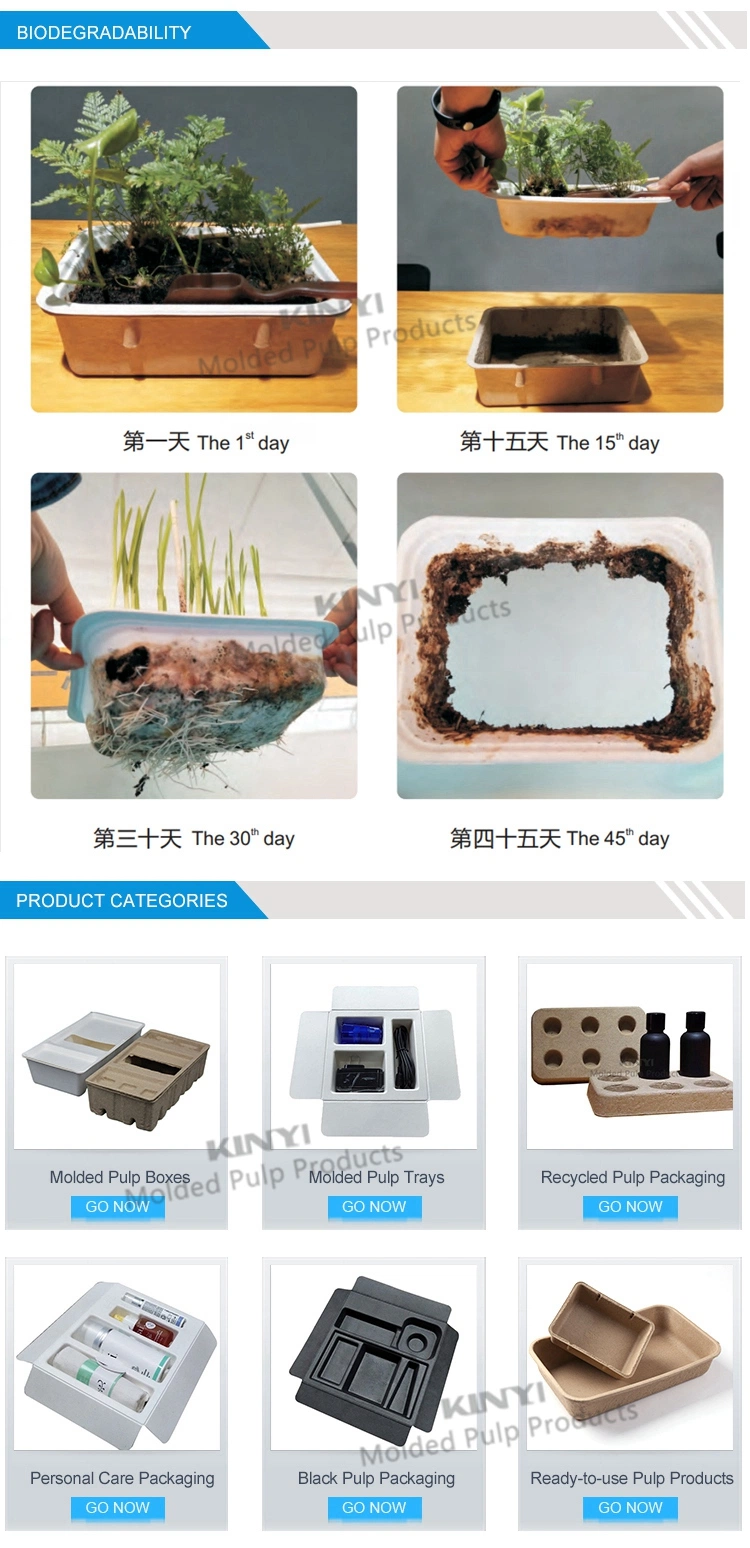 Biodegradable and Eco-Friendly Wet Press Packaging Compostable Custom Electronics Inner Packaging Tray