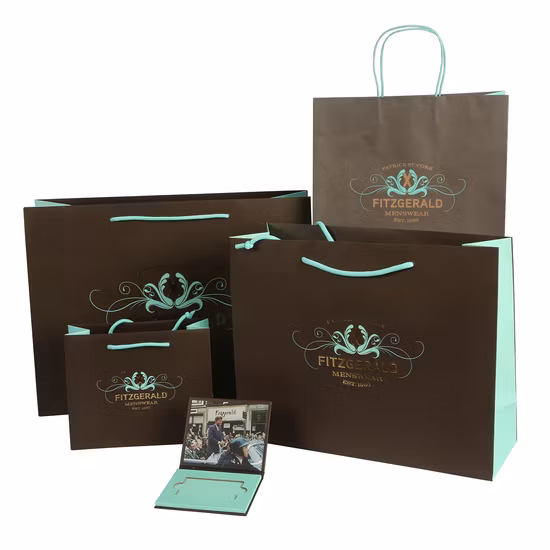 カスタムファッションあなた自身のロゴプリント化粧品高級ギフトショッピング紙袋ハンドル付き