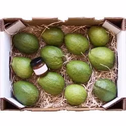 二重壁のカラー印刷されたフルーツ出荷箱バナナ包装カートン